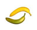 Enlarge - Artificial Banan, 0201015