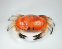 Enlarge - Artificial Crab Grand, 03041525