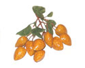 Enlarge - Artificial Almond-tree bunch of nine, 0206101
