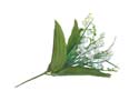 Enlarge - Lily of the valley, 0207575