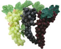 Enlarge - Artificial Grapes, 0218038