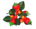 Enlarge - Artificial Strawberry bush, 0218065
