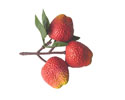 Enlarge - Artificial Strawberry bush of three, 02180651