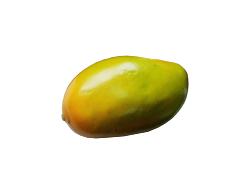 Artificial Mango,  code: 02010851