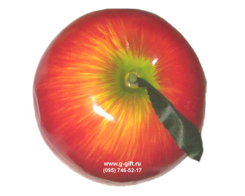   ,   0201217