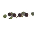 Enlarge - Artificial Branch Plums, 0101030