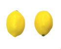 Enlarge - Artificial Lemon, 0201078