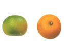 Enlarge - Artificial Tangerine, 0201086