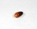 Enlarge - Artificial Date fruit, 02011391