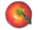 Enlarge - Artificial Apple  giant, 0201217