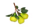 Enlarge - Artificial Pear bunch of three, 0201573