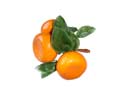 Enlarge - Artificial Tangerine bunch of three, 0201590