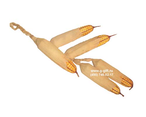   ,   0202556
