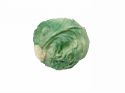 Enlarge - Artificial Cabbage-head, 0102928