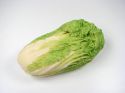 Enlarge - Artificial Lettuce, 0102929