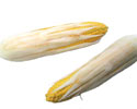 Enlarge - Artificial Corn, 0202073