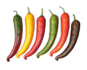 Enlarge - Artificial Chili pepper, 02021091