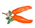Enlarge - Artificial Pepper bunch of two, 0202110