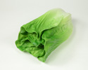 Enlarge - Artificial Salad, 02021406