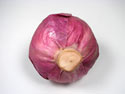 Enlarge - Artificial Cabbage, 0202205