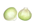 Enlarge - Artificial Cabbage, 0202258