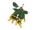 Enlarge - Artificial Small pumpkin bunch of nine, 0202572