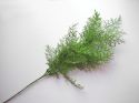 Enlarge - Artificial Fennel, 0202642