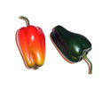 Enlarge - Artificial Pepper, 0202987