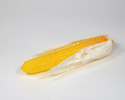 Enlarge - Artificial Corn, 03021393