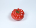 Enlarge - Artificial Tomato, 03021521