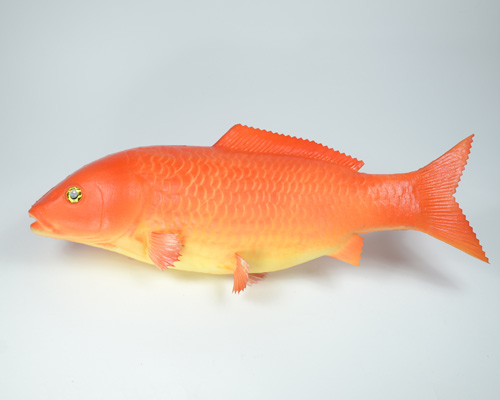 Artificial Fish,  code: 02041526
