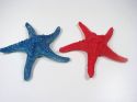 Enlarge - Artificial Starfish, 0104938