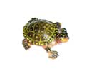 Enlarge - Artificial Tortoise magnet, 0204607