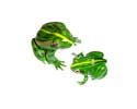 Enlarge - Artificial Frog magnet, 0204608