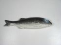Enlarge - Artificial Fish, 03041028