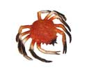 Enlarge - Artificial Crab, 0304517