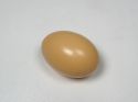 Enlarge - Artificial Eggs, 0305521