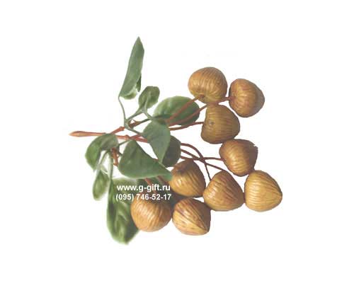 Artificial Hazelnut bunch of nine,  code: 0206391