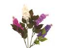 Enlarge - Lilac branch, 0207032