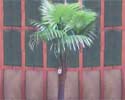Enlarge - Palm tree, 0207104