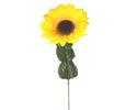 Enlarge - Sunflower medium, 0207166
