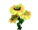 Enlarge - Sunflower, 0207182