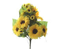 Enlarge - Sunflower, 0207265
