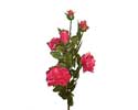 Enlarge - Rosebush, 0207454