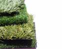 Enlarge - Lawn grass, 0207510