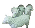 Enlarge - Artificial Sheep, 0508174