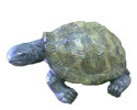 Enlarge - Artificial Tortoise, 0508175