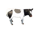 Enlarge - Artificial Bull calf, 0508226