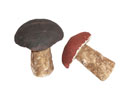 Enlarge - Artificial Mushroom, 0211275