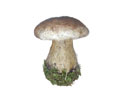 Enlarge - Artificial Mushroom, 0211401